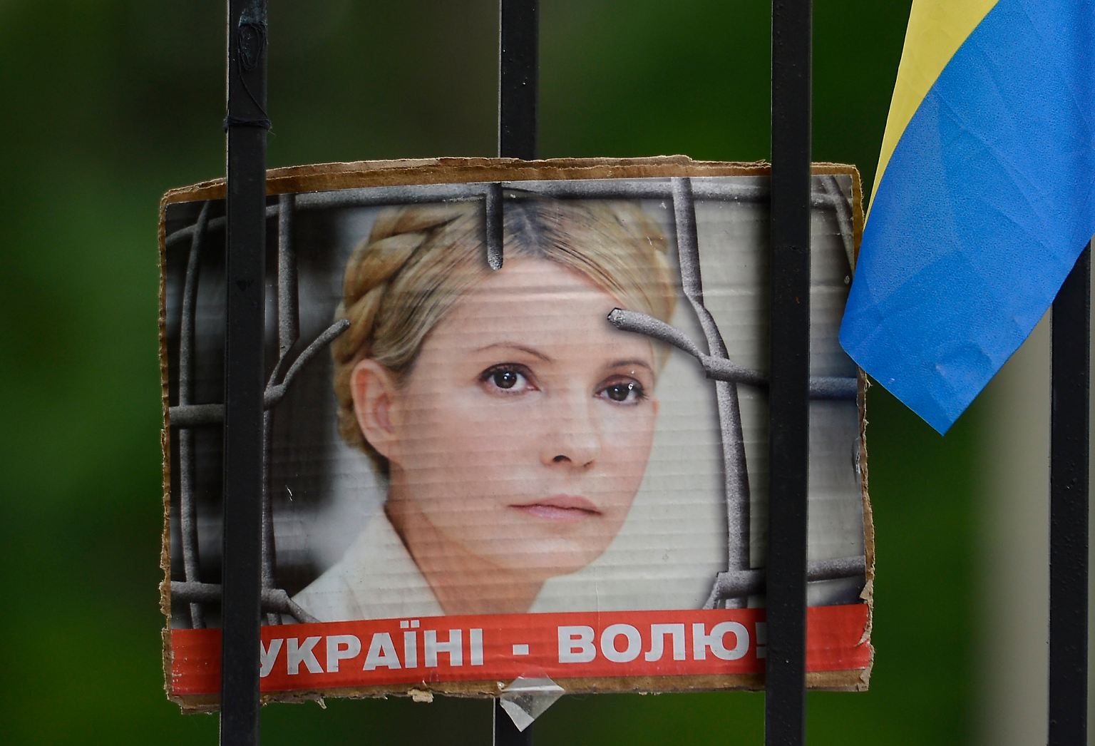 Vor einem Jahr wird due ukrainische Ex-Regierungschefin Julia Timoschenko verhaftet. "Ihre Haft ist ein Zeichen der Hilflosigkeit der Staatsführung", sagt ein Oppositioneller.
