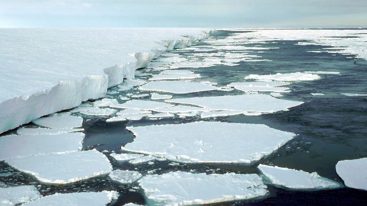 Kante des Filchner-Ronne- Schelfeises im Weddellmeer (Aufnahme von 1995): In der Antarktis könnte es in den nächsten Jahrzehnten eine verheerende Kettenreaktion geben. Anders als lange angenommen wirkt sich der Klimawandel auch auf das Weddellmeer aus, das größte Randmeer des Südlichen Ozeans am antarktischen Kontinent.