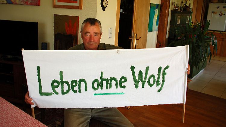 Steinbeck hat ein Bündnis gegen die Rückkehr des Wolfes gegründet.
