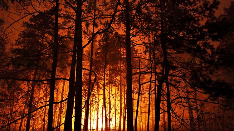 Dutzende Waldbrände lodern derzeit wegen der starken Hitze auf Sizilien.