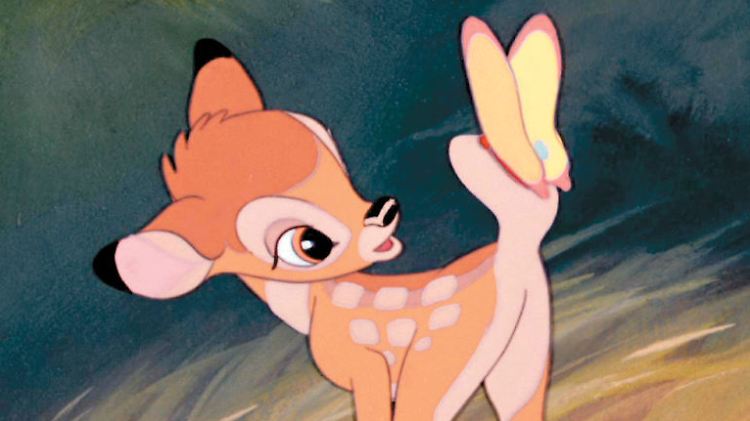 Bambi erkundet seine Welt - auf noch wackeligen Beinen, ...