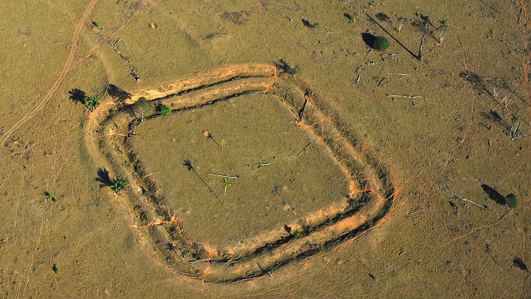 Sogenannte Geoglyphen im westlichen Amazonas-Gebiet in Brasilien, fotografiert aus der Luft.