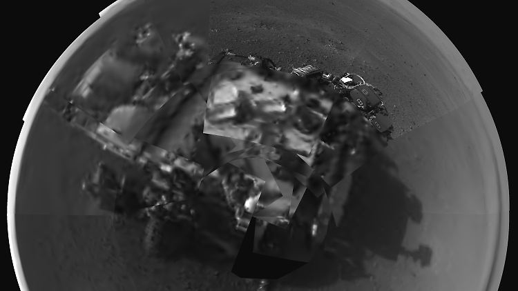 Ein Picasso-ähnliches Selbstporträt von "Curiosity".