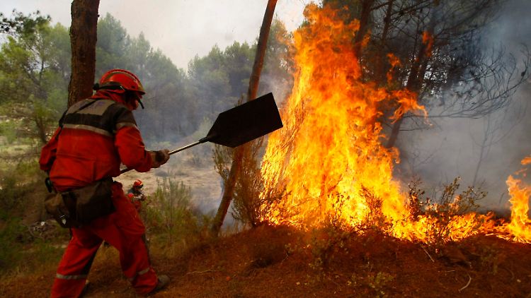 Ein Feuerwehrmann kämpft bei Alicante gegen die Flammen. Dutzende Brände wüten derzeit in Spaniens Wäldern.
