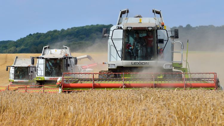 Steigende Weltmarktpreise, Ertragsmaximierung: K+S profitiert.
