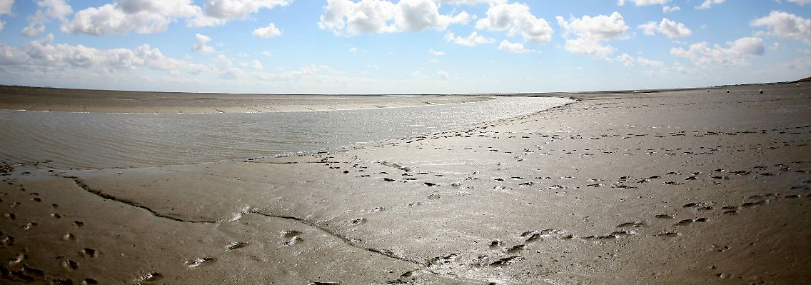 Wattenmeer bei Ebbe: Wo nur ist all das Wasser hingeflossen?