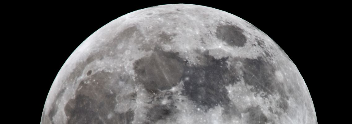 16509544.jpg
