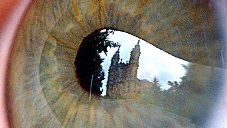In der Pupille dieses Auges spiegelt sich nur die Basilika "Vierzehnheiligen" im oberfränkischen Staffelstein - und weit und breit kein Wurm.