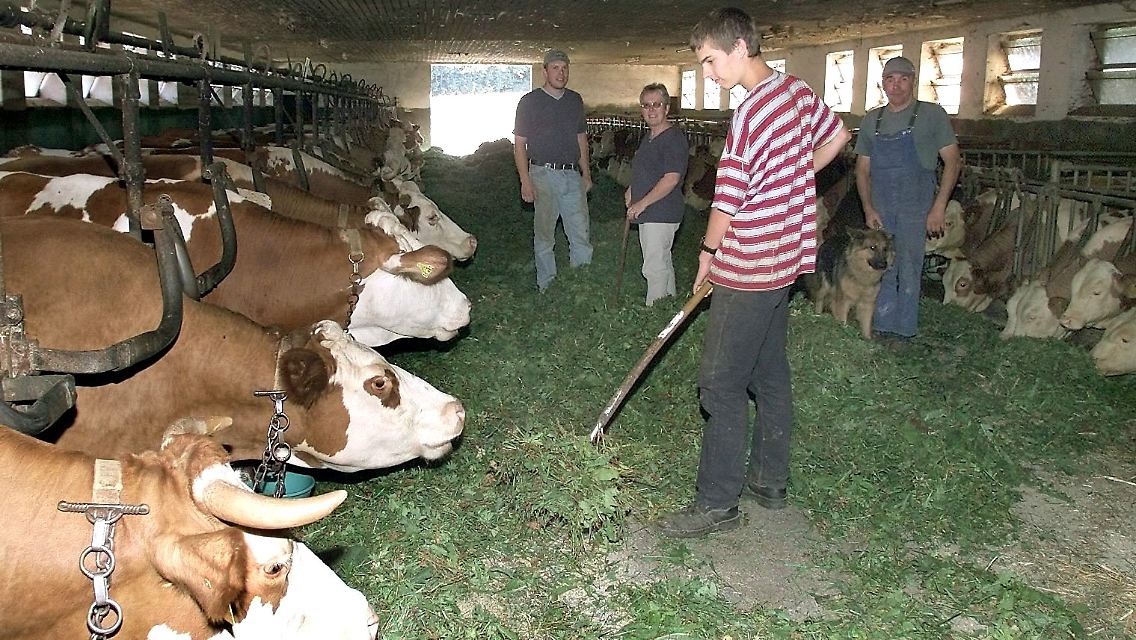Ferien mal anders: Landleben live für Schüler.