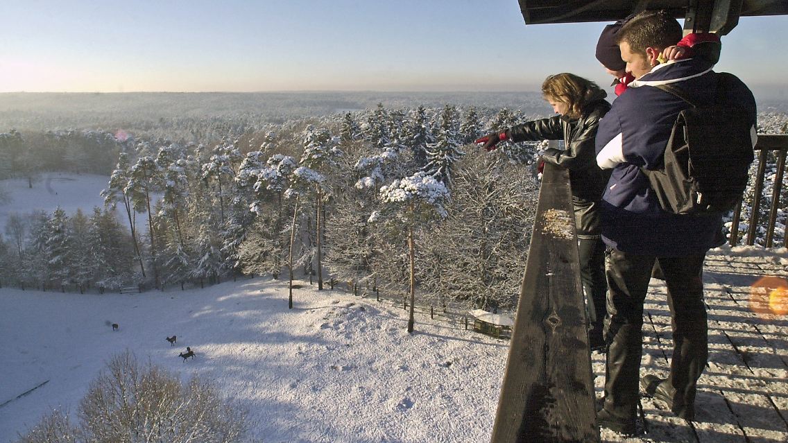 Vom Aussichtsturm im Wildpark Schwarze Berge fällt der Blick über die Landschaft südlich von Hamburg.