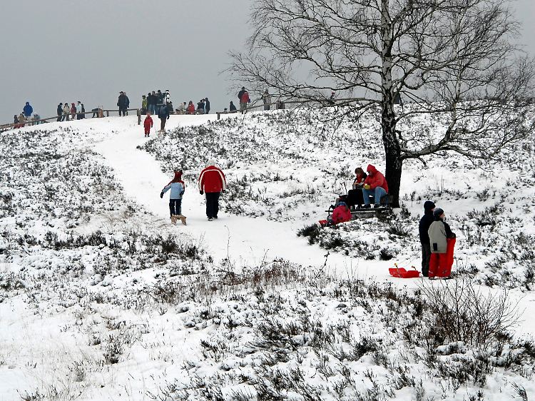 Bei guten Schneeverhältnissen kann auch gerodelt werden - der Brunsberg bei Buchholz in der Nordheide bietet sich dafür besonders an.