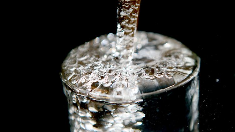 Im Wasser schlecht, im Darm gut: Natürliche Darmbakterien helfen dem Körper, Infektionen schnell zu bekämpfen.
