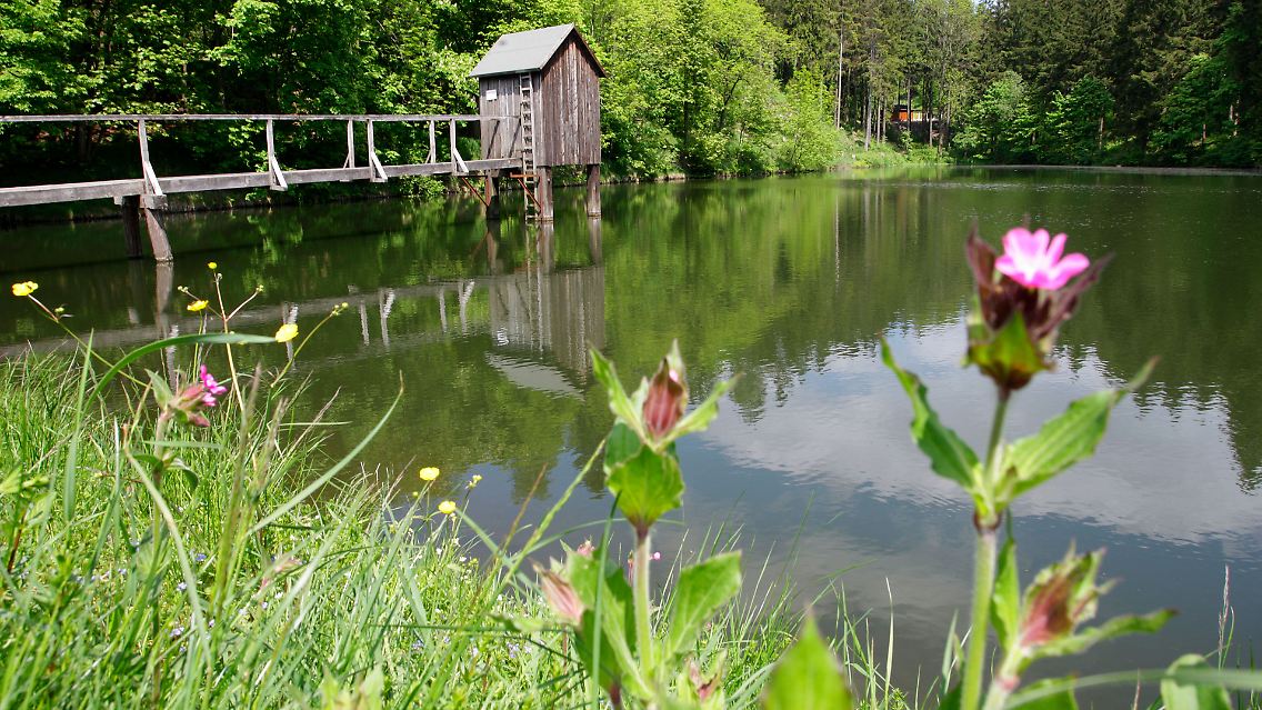 Teich mit Striegelhaus.