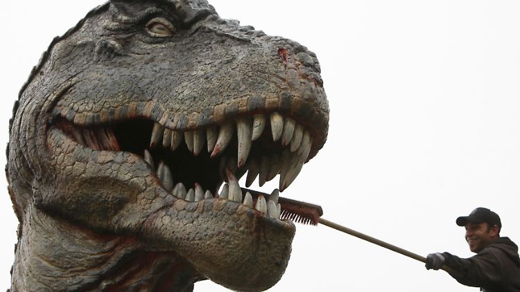 Schon beim Tyrannosaurus nimmt die Zahnpflege einige Zeit in Anspruch. Beim Bistahieversor sealeyi gibt's noch mehr zu putzen.