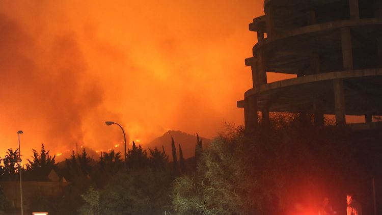 Der Waldbrand in der Provinz Málaga hat Schätzungen zufolge eine Fläche von bis zu 1000 Hektar zerstört.