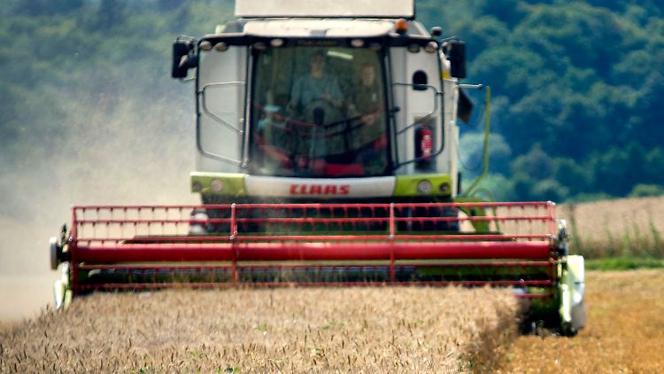 Höhere Erträge in Deutschland, aber sinkende Preise gibt es dennoch nicht.