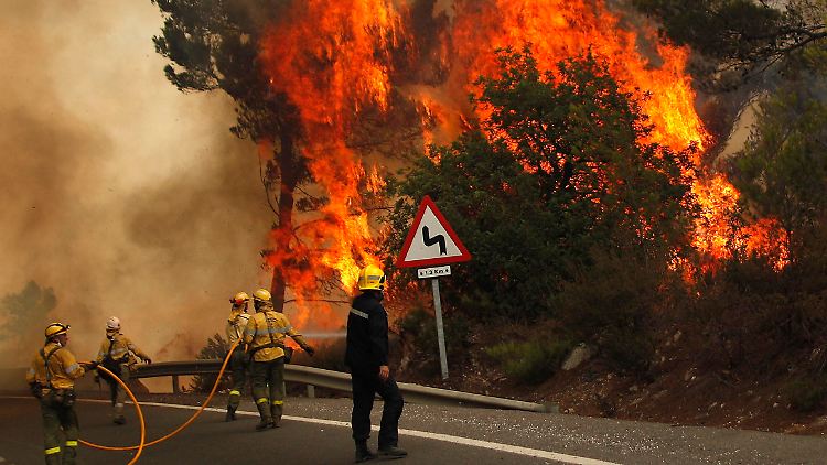 Feuerwehrleute kämpfen zwischen Marbella und Monda gegen die Flammen.
