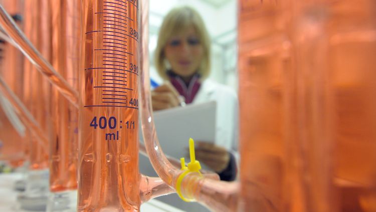 Chemieproduktion geht in diesem Jahr zurück.
