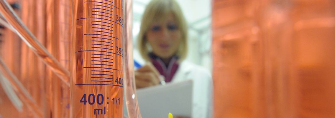 Chemieproduktion geht in diesem Jahr zurück.