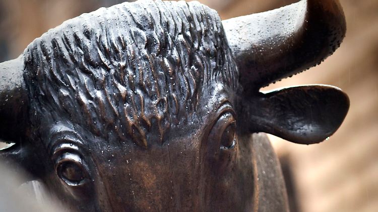 Bulle, Bär und Schwarzbuch: Anleger fasziniert die Börse.