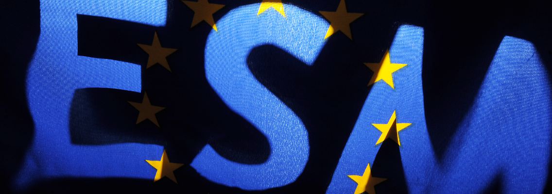 Der Euro-Rettungsschirm ESM könnte das Haushaltsrecht des Parlaments verletzen, meint der wissenschaftliche Dienst des Bundestags.