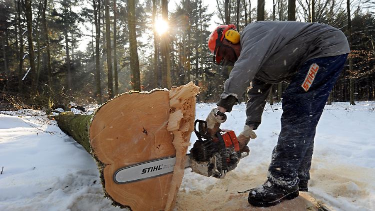 Holz liefert Werk- und Brennstoffe, sowie unersetzliche Baumaterialien und wächst bei sorgsamer Nutzung fast von alleine nach.