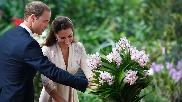 William und Kate begutachten die nach ihnen benannten "Vanda William Catherine"-Orchideen.