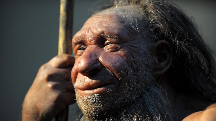 Rechtshänder und sprachfähig wie der Homo sapiens: Der Neandertaler.