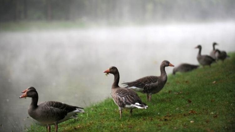 Die Stimmung auf dem Parkett ist deutlich abgekühlt. 
