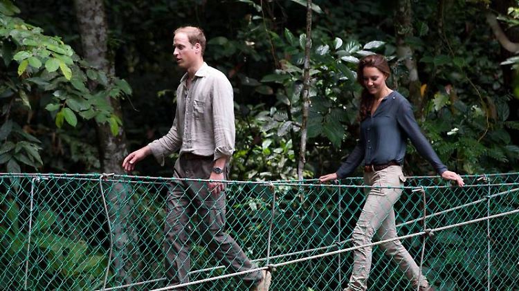 Wanderungen durch den Regenwald gehören zum Programm von Öko-Reiseanbietern - das haben auch schon William und Kate in Borneo ausprobiert.