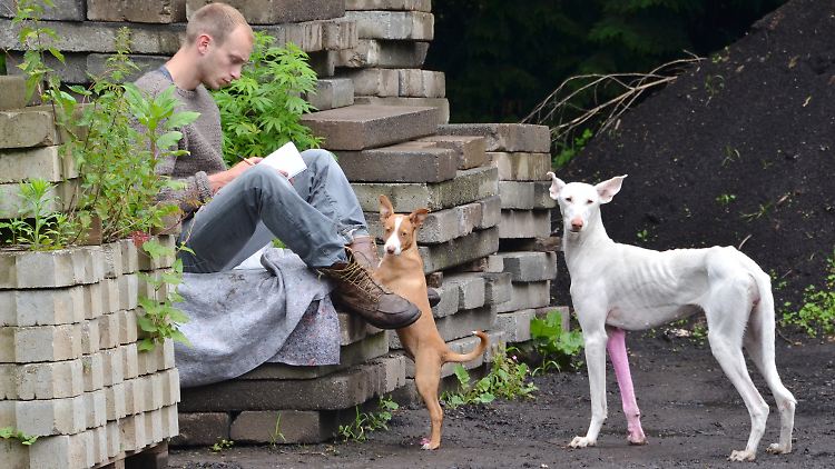 Dem spanischen Windhund "Human" wurde ein pinkfarbenes Bein verpasst. Die Arbeit heißt "Untilled" mit dem Untertitel "lebendige Wesen und leblose Dinge, gemacht und nicht gemacht".