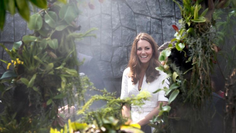 Die Briten wollen wohl wissen, wie ihre Kate ohne schicke Garderobe aussieht.