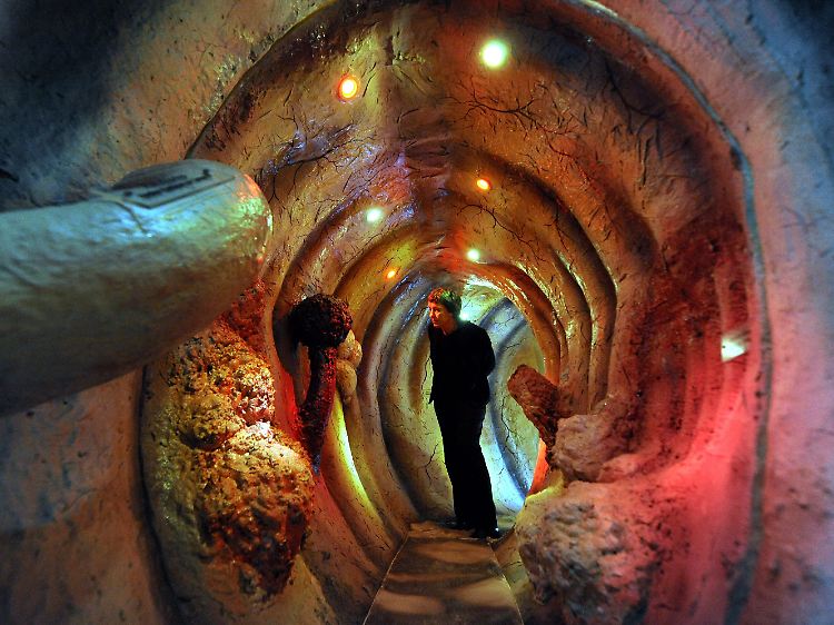Eine Frau steht in einem acht Meter langen und fast drei Meter hohen begehbaren Modell des menschlichen Darms.