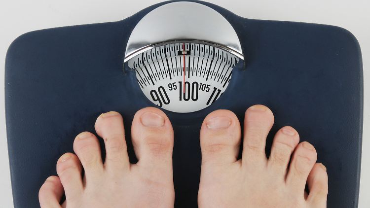 Hinweise mehren sich: Die Entstehung von Übergewicht hat etwas mit der Darmflora zu tun.