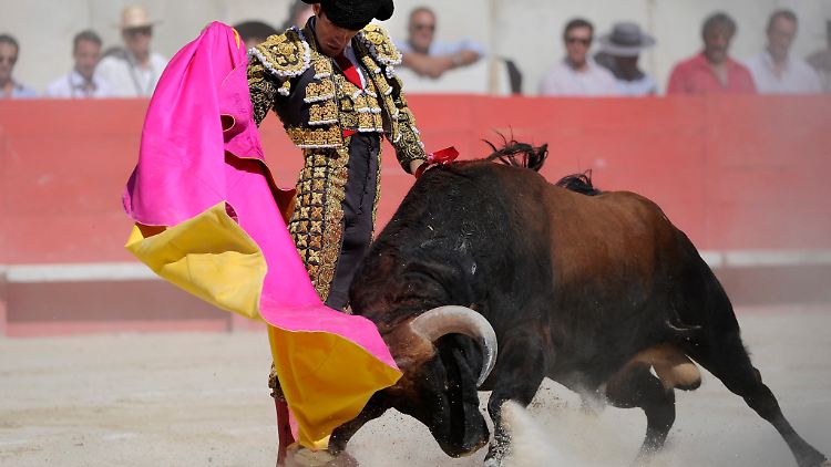 Der Torero spielt mit dem Stier - bis er ihn tötet: hier bei einem Festival in Nîmes.
