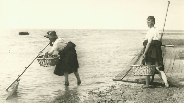 Das war einmal: Auf Krabbenfang an der Nordsee.