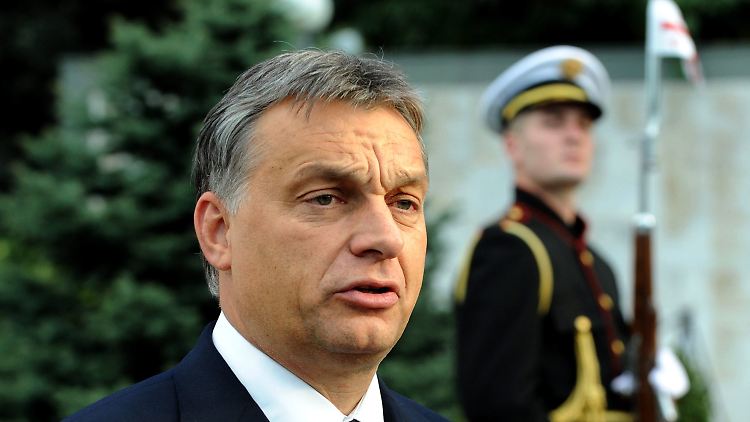 Premier Orban kann sich auf eine große Mehrheit im Parlament stützen.
