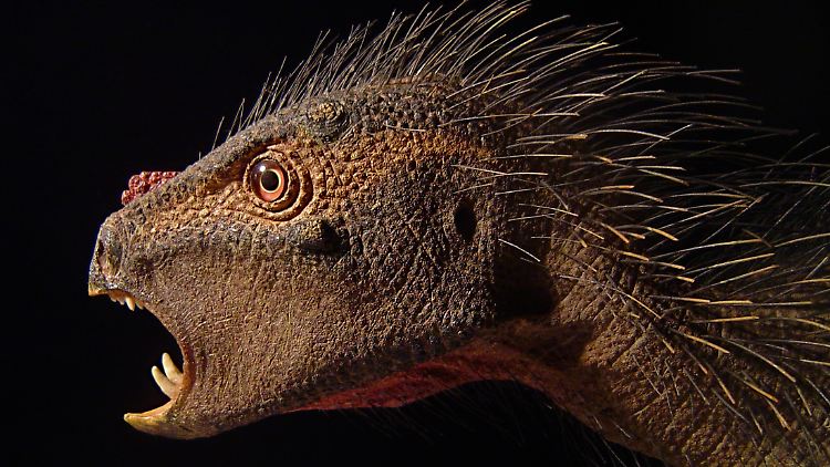 So stellen sich Forscher den Pegomastax africanus vor.
