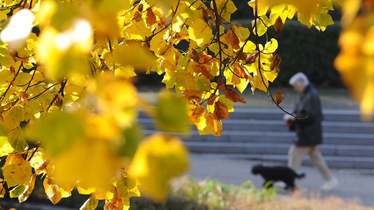 Der goldene Oktober macht seinem Namen alle Ehre.