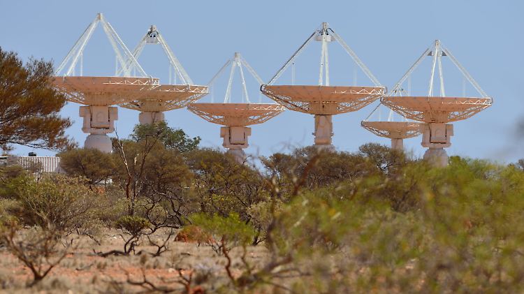 36 Schüsseln sind in der australischen Wüste verteilt.