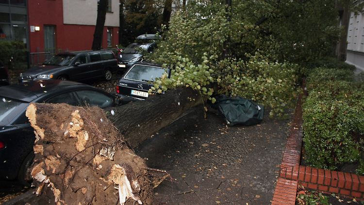 In Norddeutschland sorgt ein erster großer Herbststurm für Chaos.