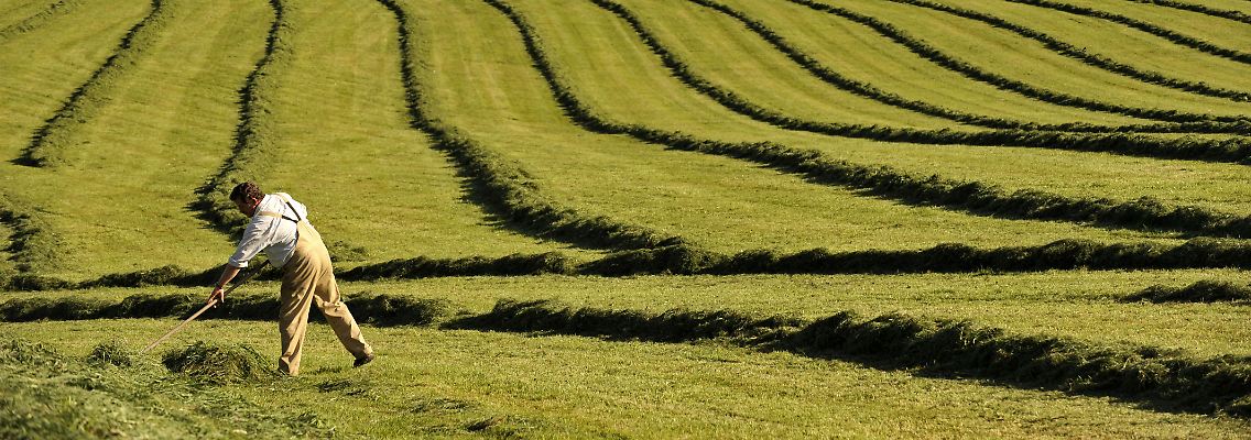 Ein Landwirt beim Heuwenden auf seinem Feld in See, Ostallgäu.
