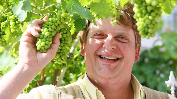 Hat sich die nächste Frucht gepflückt: Bauer Kurt.