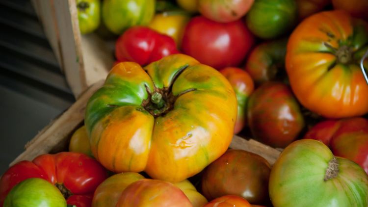 Weil sie Lycopin enthalten, senken Tomaten das Risiko für Schlaganfälle.