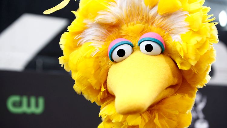 "Wehe, wenn Du jemals, jemals Big Bird bedrohst!" war eine der Reaktionen auf Romneys Äußerungen.