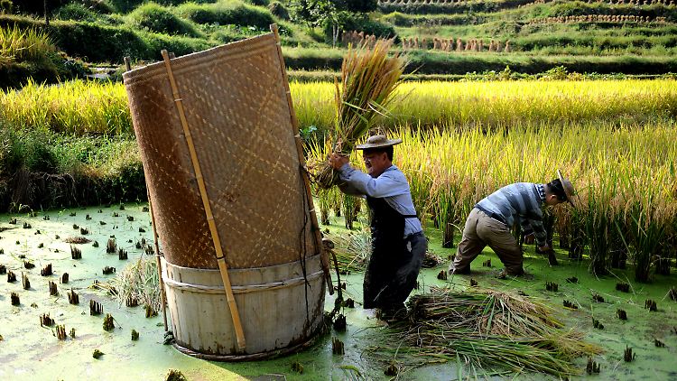Bauern in China müssen stets fürchten, entrechtet und vertrieben zu werden.