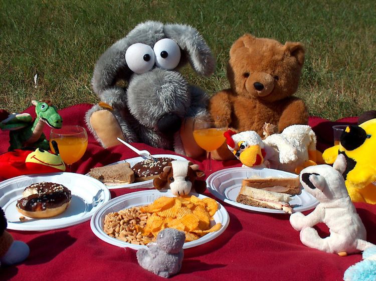 Plüschtier-Picknick in Prag.