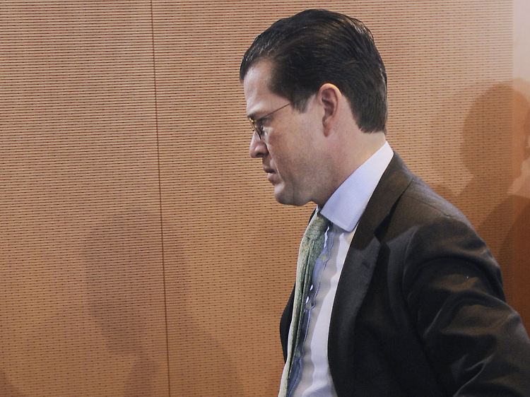 Guttenberg will jeden Einzelfall prüfen lassen.