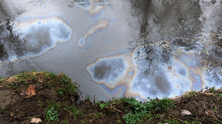 Überall auf dem Lambro schwimmt das Öl.