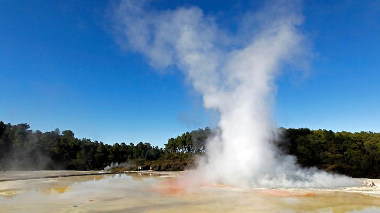Neuseeland war zu Beginn seiner Besiedlung von Menschen genetisch verschiedener Herkunft bevölkert.